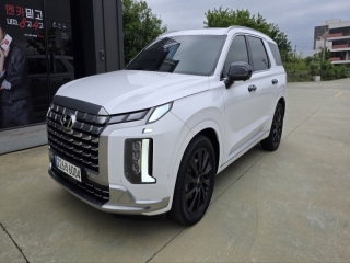 현대 더 뉴 팰리세이드